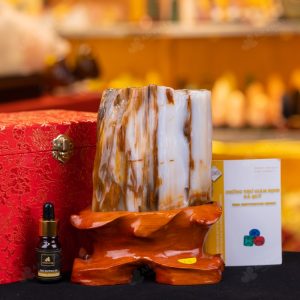 Gỗ hóa thạch mang trong mình vẻ đẹp tự nhiên độc đáo và tinh tế