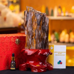 Gỗ hóa thạch tại Anphatgems.vn