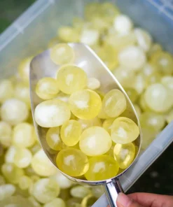 SỎI THẠCH ANH VÀNG - M2275