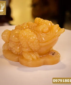 Thiềm Thừ Ngọc Hoàng Long - 6kg - M16826