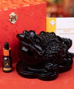 Thiềm Thừ Obsidian Đen - 2,54kg - M2814254