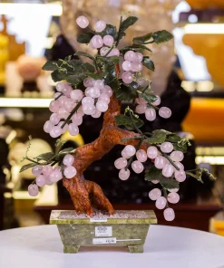 Cây Nho Đá Thạch Anh Hồng - 6kg - M10010