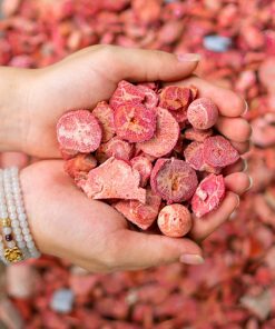 Vụn San Hô Đỏ 1A 004-0681A-13