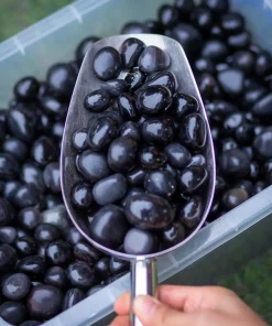 Sỏi Obsisian Đen 1A 007-0641A-2030