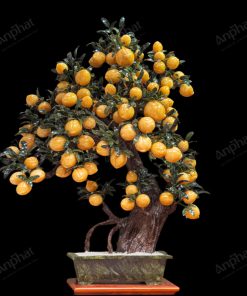 Cây Đào Đá Ngọc Hoàng Long 3A 88 Quả 016-0493A-88