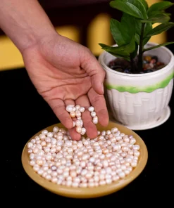 Ngọc Trai Tự Nhiên 1A 004-0551A-810