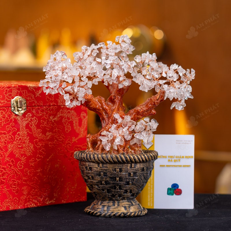 Những quà tặng 20/10 cho mẹ và bạn gái ý nghĩa nhất