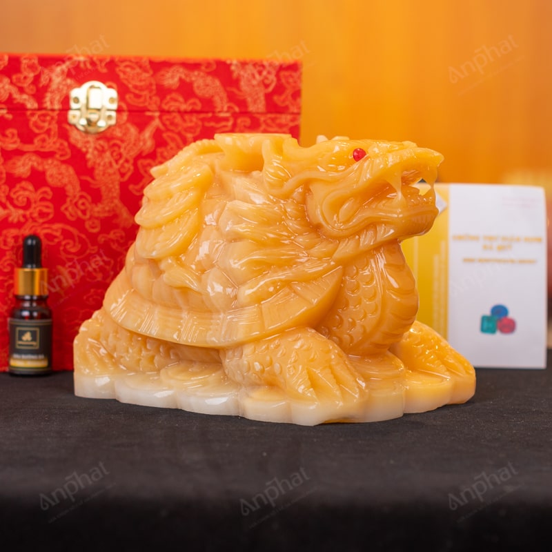 Long quy còn có tên gọi khác đó là rùa đầu rồng