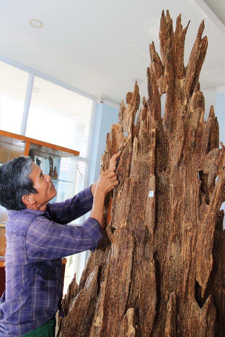 Trầm – tinh hoa đất trời, mang năng lượng an yên và tĩnh tại