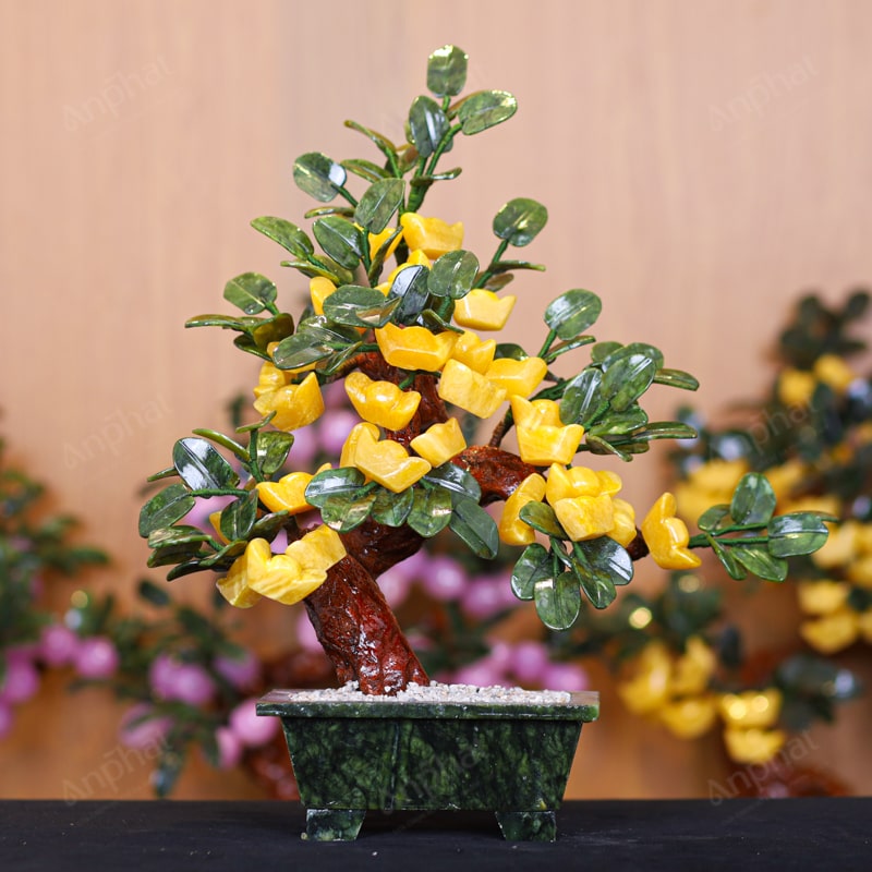 Cây Kim Tiền Ngọc Hoàng Long Vàng 1A 28 Quả 122-0491A-28