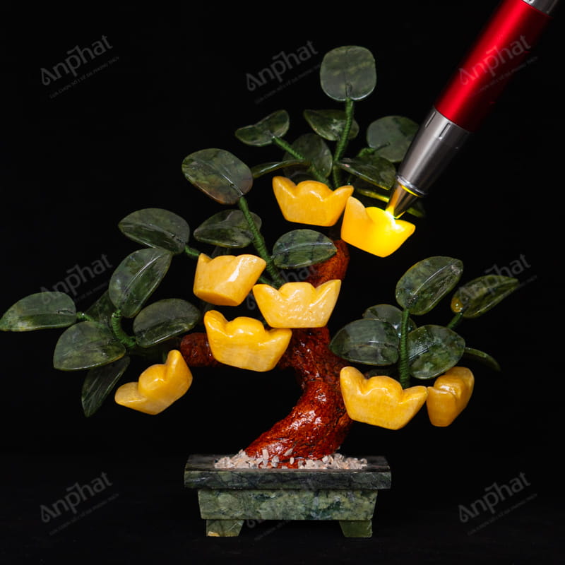 Cây Kim Tiền Ngọc Hoàng Long 1A 8 Quả 122-0491A-8