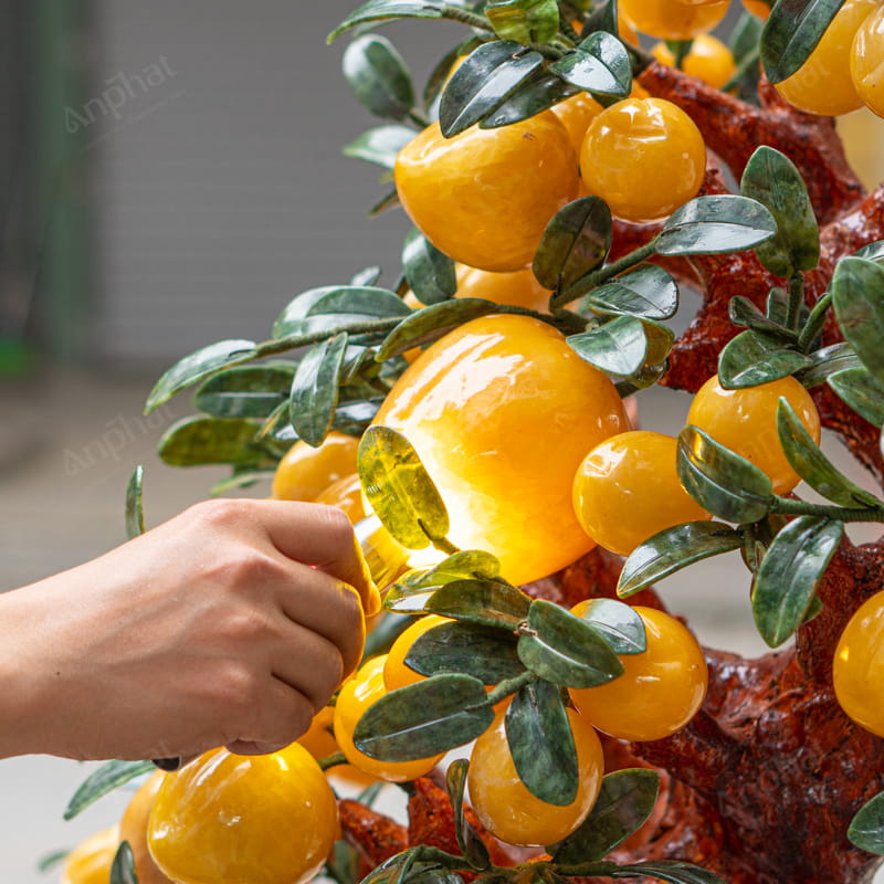 Cây Đào Đá Ngọc Hoàng Long 2A 88 Quả 016-0492A-88