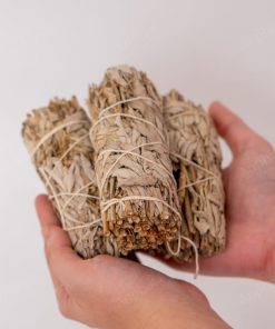 Đồ Thanh Tẩy Cây Xô Thơm Trắng 1A 10cm 126-1391A-10