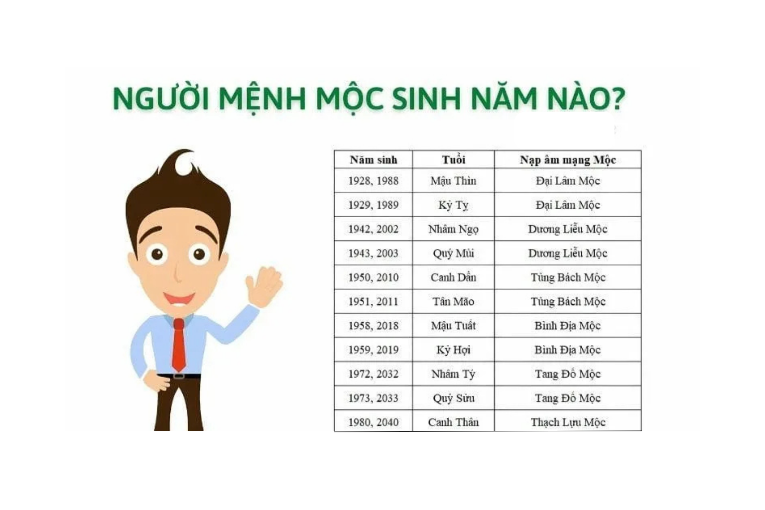 Mệnh Mộc hợp màu gì? Chọn đúng màu để hút may mắn, tài lộc