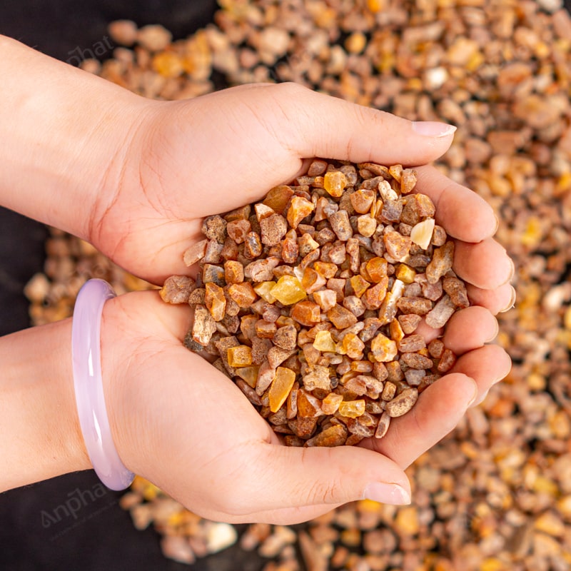 Hổ phách là nhựa cây hóa thạch qua hàng triệu năm