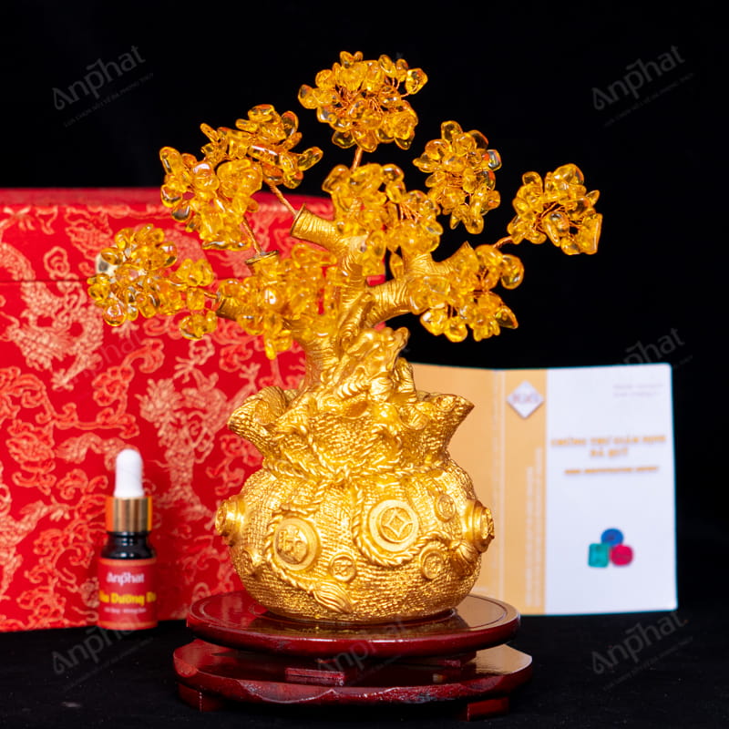 featured-image