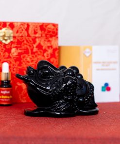 Thiềm Thừ Obsidian Đen 1A 1,21kg 063-0641A-1,21