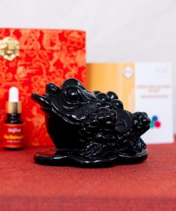 Thiềm Thừ Obsidian Đen 1A 1,34kg 063-0641A-1,34
